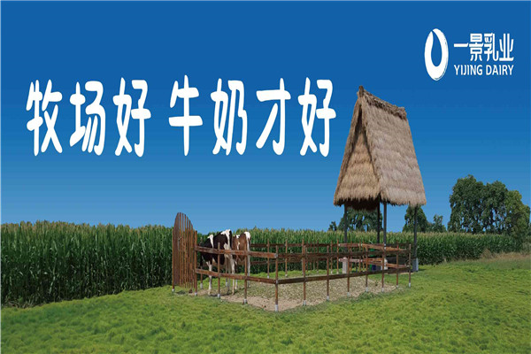 一景乳业