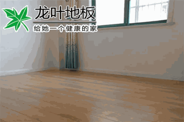 龙叶地板