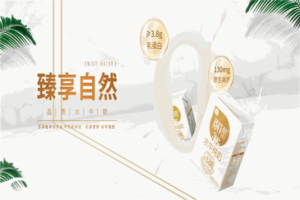 百菲酪水牛奶