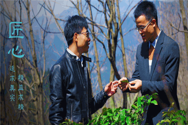 黑品茶业
