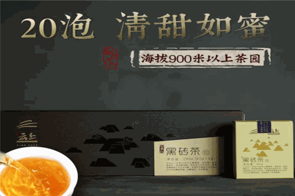 黑品茶业