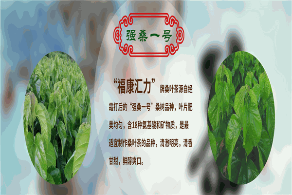 福康汇力