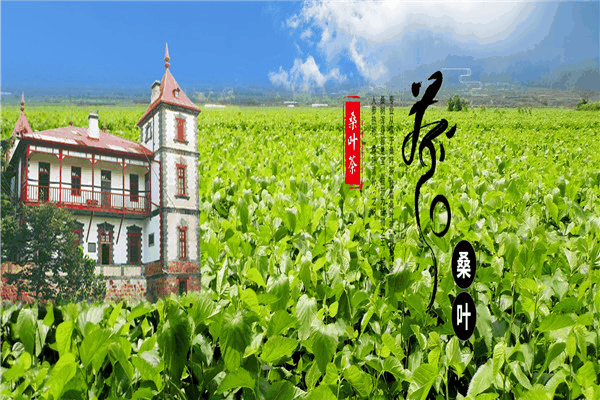 福康汇力