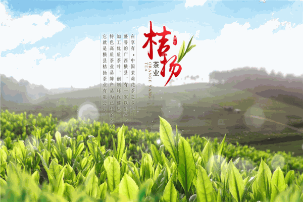 有蝉茶业