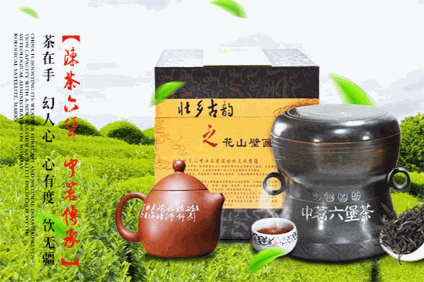 中茗六堡茶