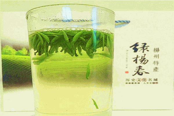 绿杨春茶叶
