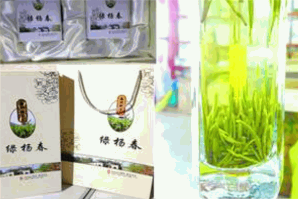 绿杨春茶叶