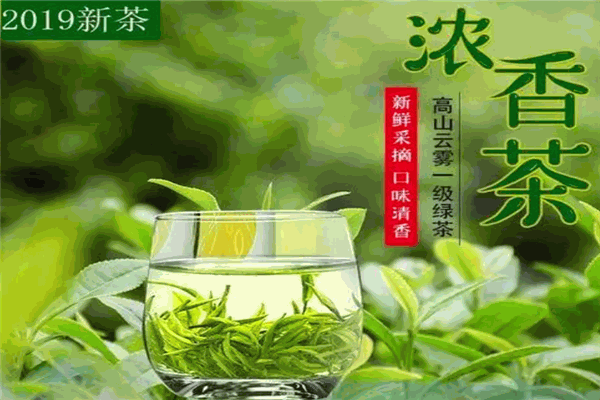 绿杨春茶叶