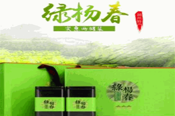 绿杨春茶叶