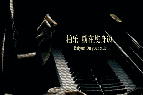 柏乐琴行