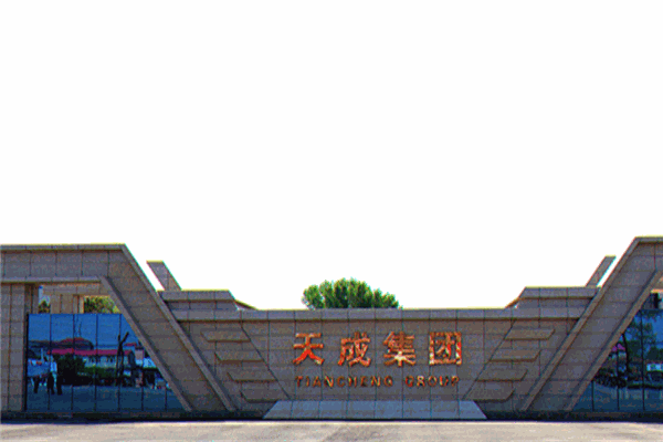 天成粮油