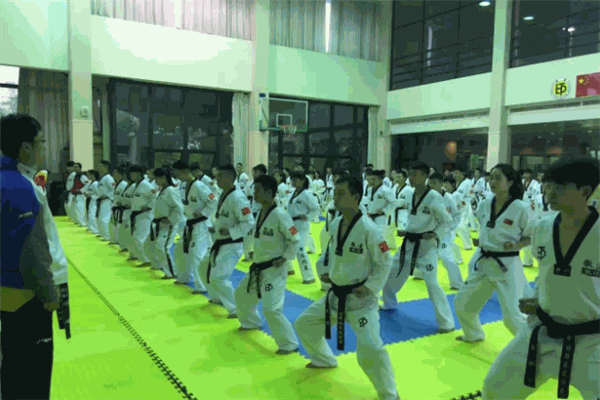 徽连武道