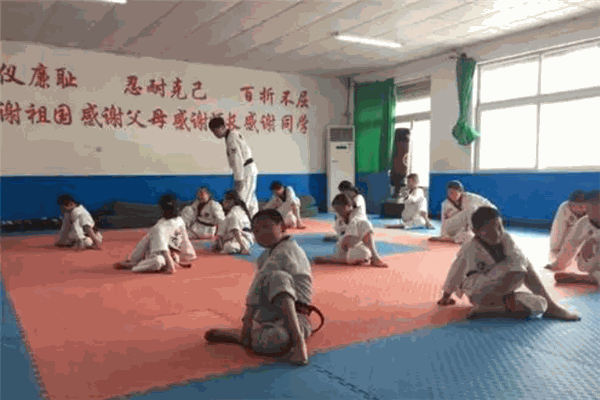 力奥跆拳道