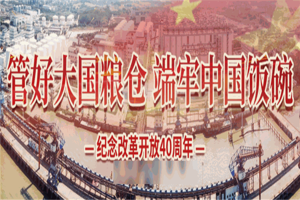 五丰粮油