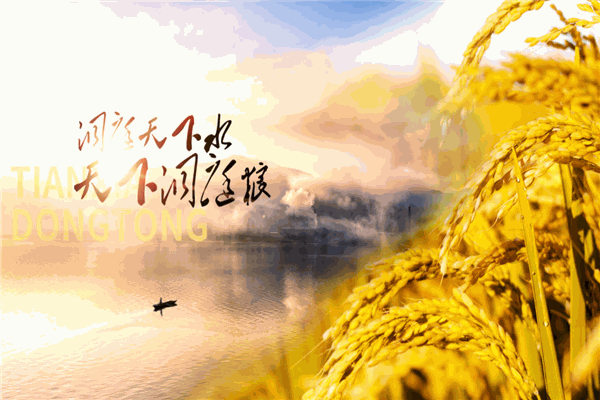 金禾粮油