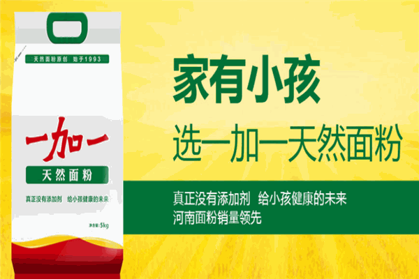 一加一面粉