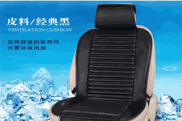 雷登汽车空调坐垫