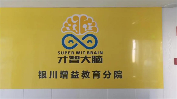 才智大脑教育