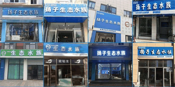 扬子生态水族