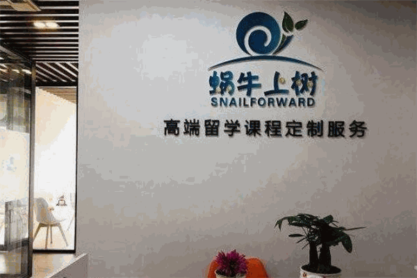 蜗牛上树国际教育
