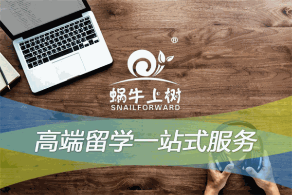 蜗牛上树国际教育