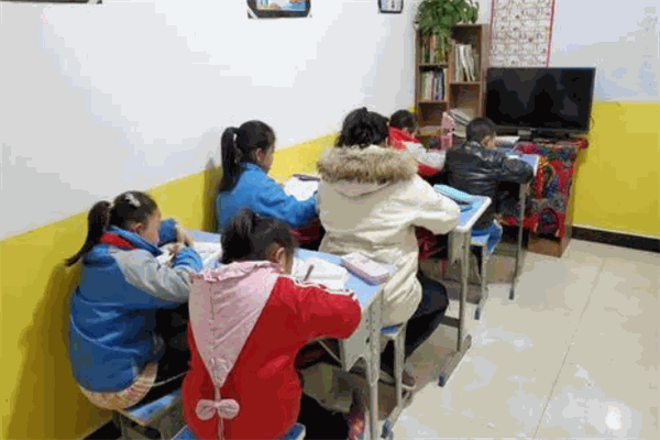 蜗牛上树国际教育