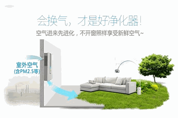 无味空间空气净化