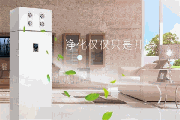 福斯特空气净化器