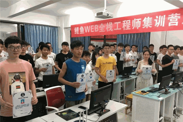 鲤鱼IT教育