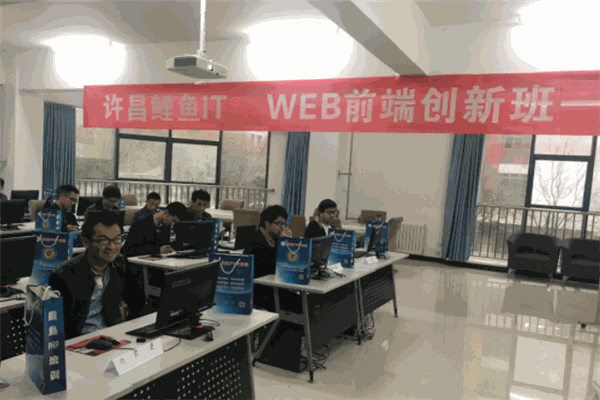 鲤鱼IT教育