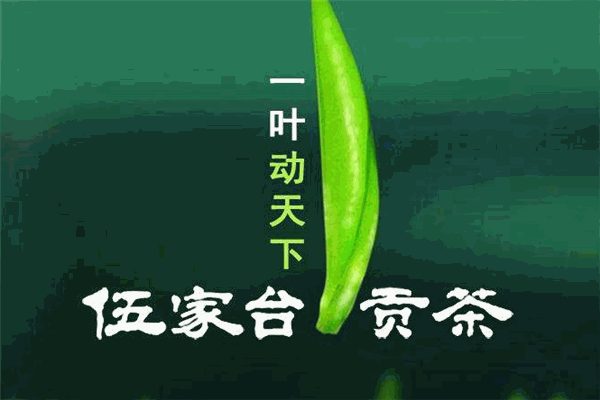 伍家台富硒贡茶