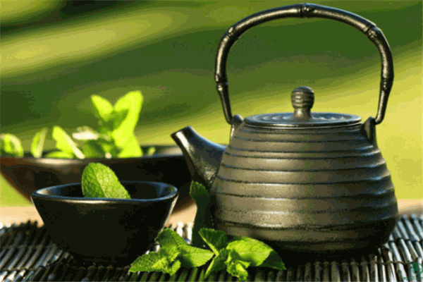博超茶业