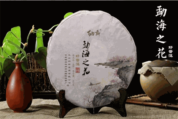 纳新茶业