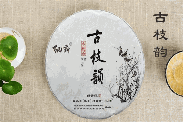 纳新茶业
