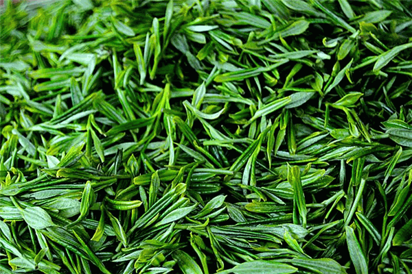 润叶茶业