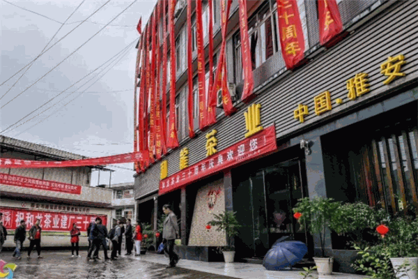 和龙茶业