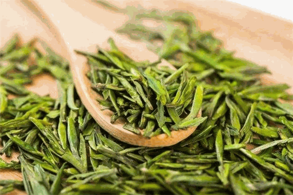 百道茶业