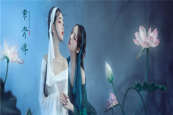 盘子摄影