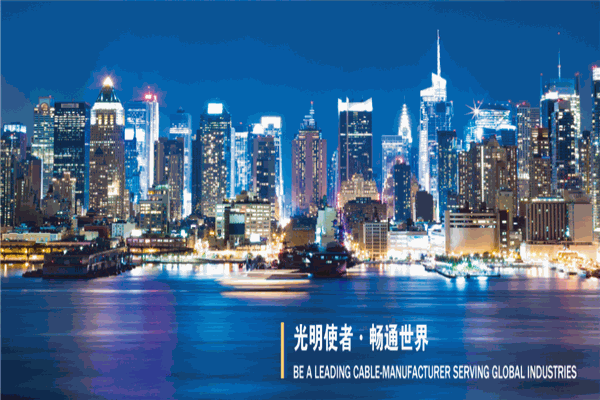 上海浦东电缆