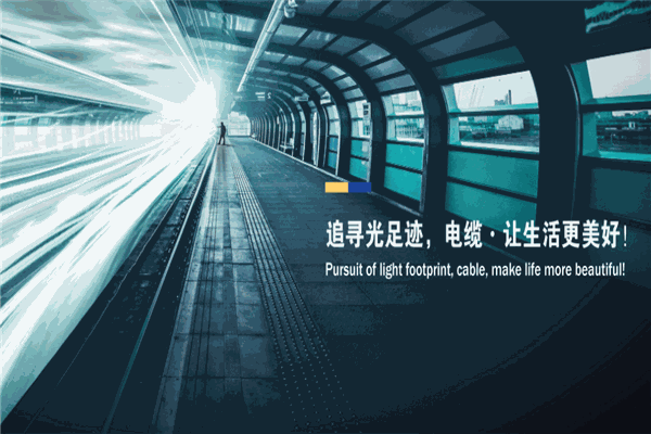 上海浦东电缆