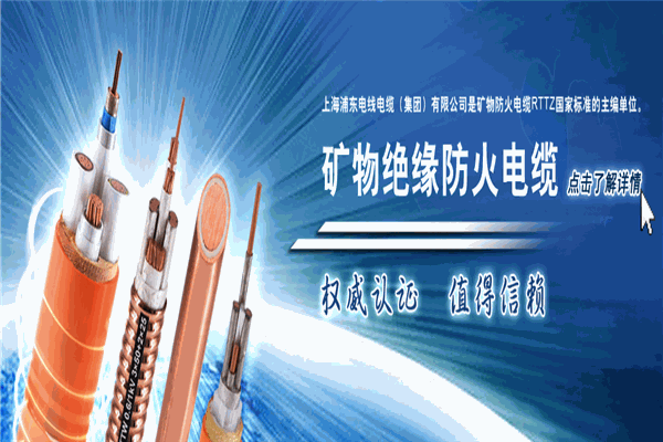 上海浦东电缆