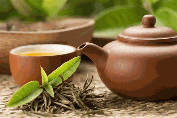中科茶业