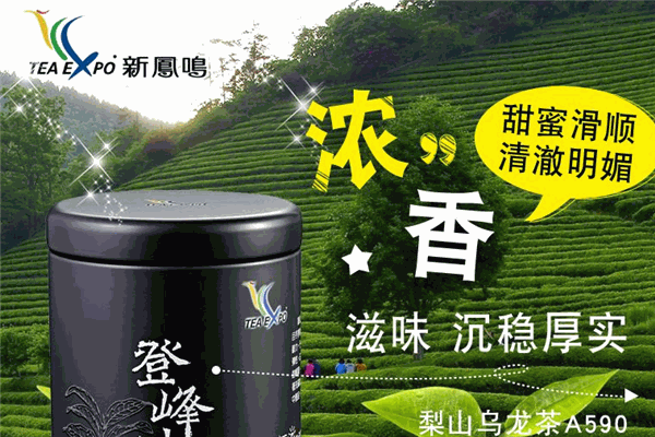 新凤鸣茶业