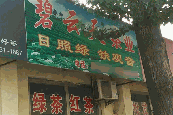 碧云天茶业