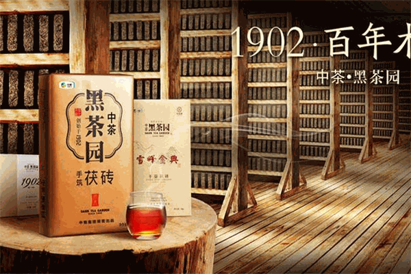百年木仓生态黑茶
