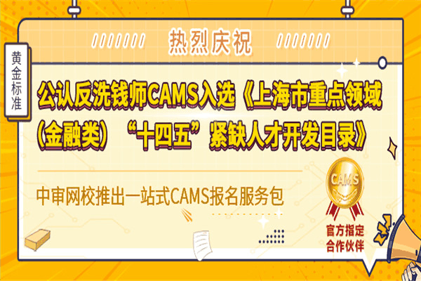 中审网校