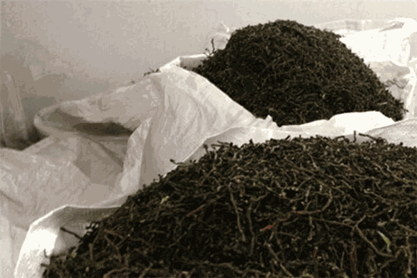 馨源茶业