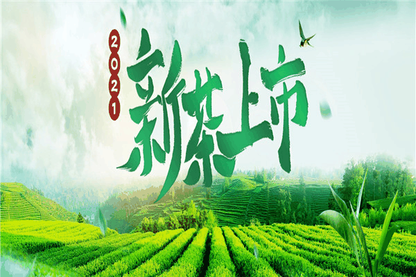 味独珍茶叶