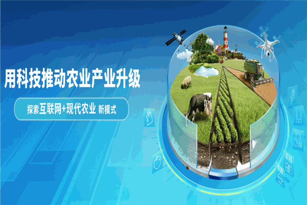 惠农网