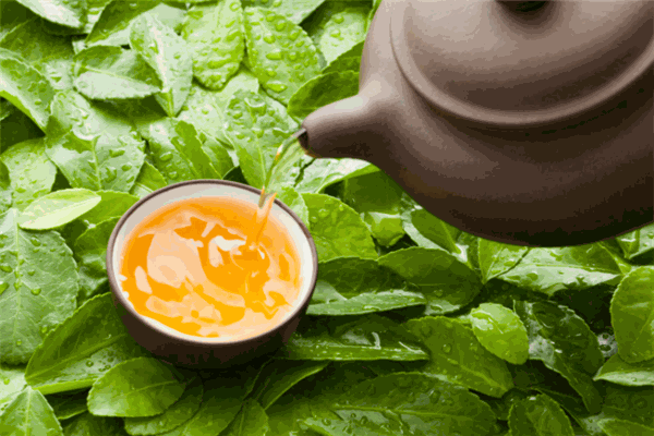 天禅茶叶